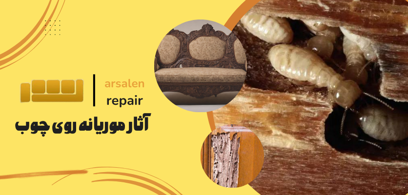 موریانه - مشکلات رایج مبل چوبی