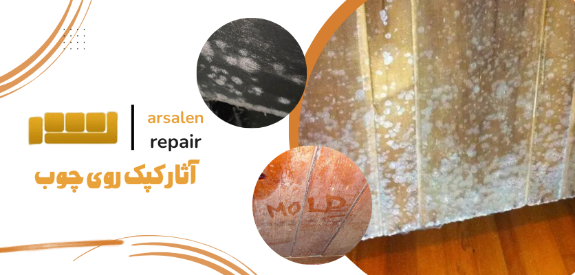 کپک چوب - مشکلات رایج مبل چوبی